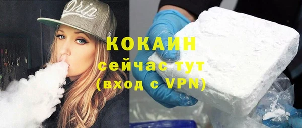 твердый Мегион