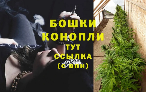 твердый Мегион
