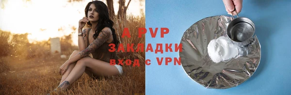 тгк Майский