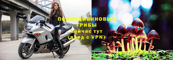 амф Медвежьегорск